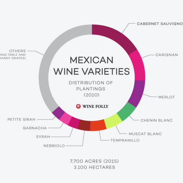 Wine Explorer – Introduction to Mexican Wines